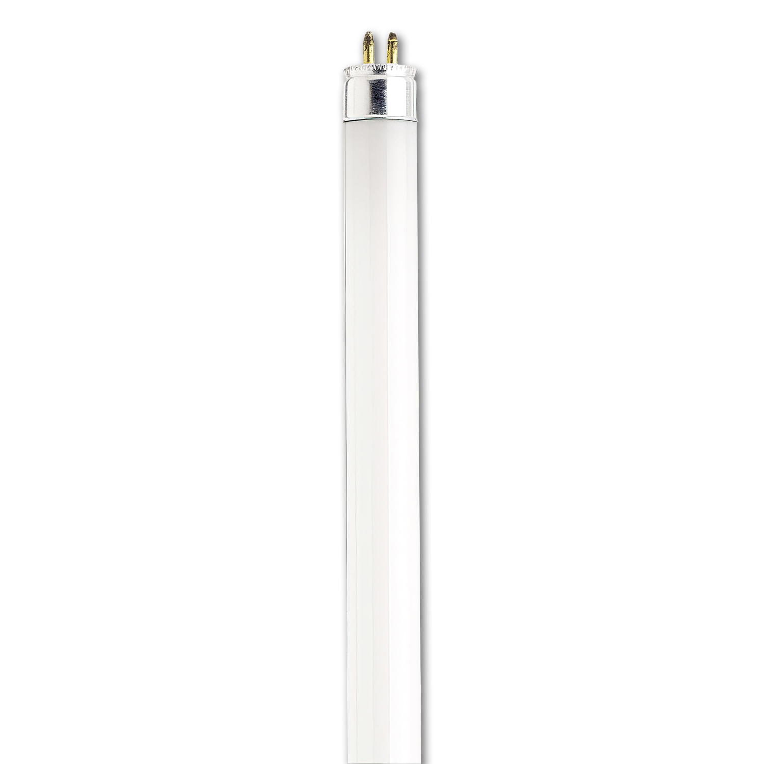 T5 8w deals bulb