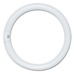 Show details for 32 WATT 12" DIA. FC12T9 CIRCLINE BULB - CW Picture of 32 WATT 12" DIA. FC12T9 CIRCLINE BULB - CW